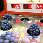 Carnival Whack the Grapes with Branding for a Corporate rental event
